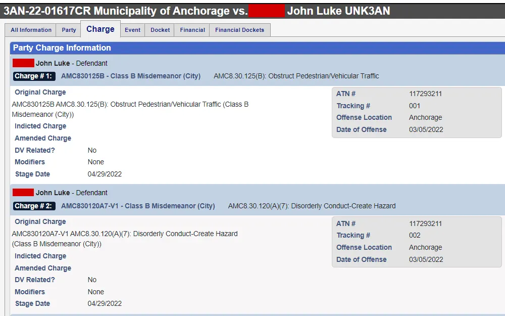 Screenshot of an individual's party charge information displaying the name, charges, and respective details.