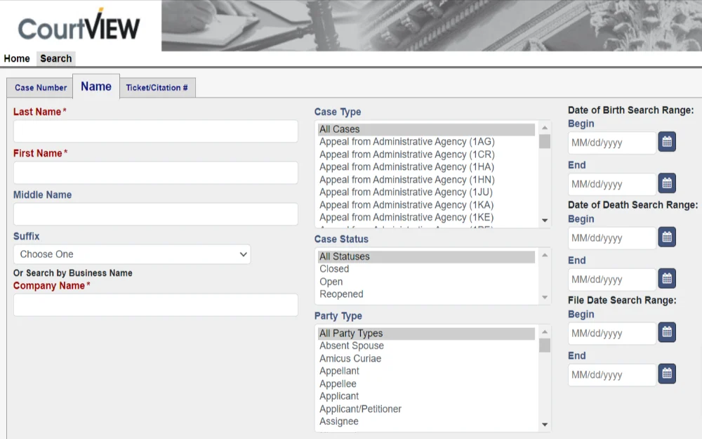 A screenshot showing a court view case search tool by name with search criteria such as last, first, and middle name, case type, case status and party type.