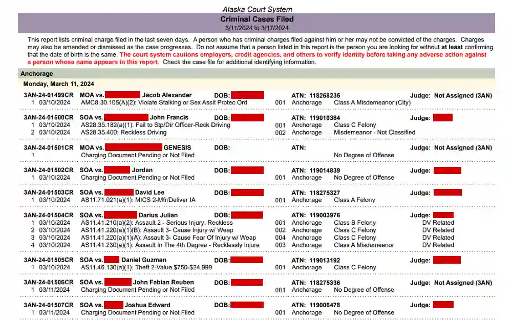 A screenshot displaying a criminal case file from the Alaska Court System showing anchorage with the case details, case type, date of birth, judge assigned and date filed.
